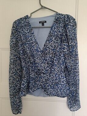 Express Blue Blouse